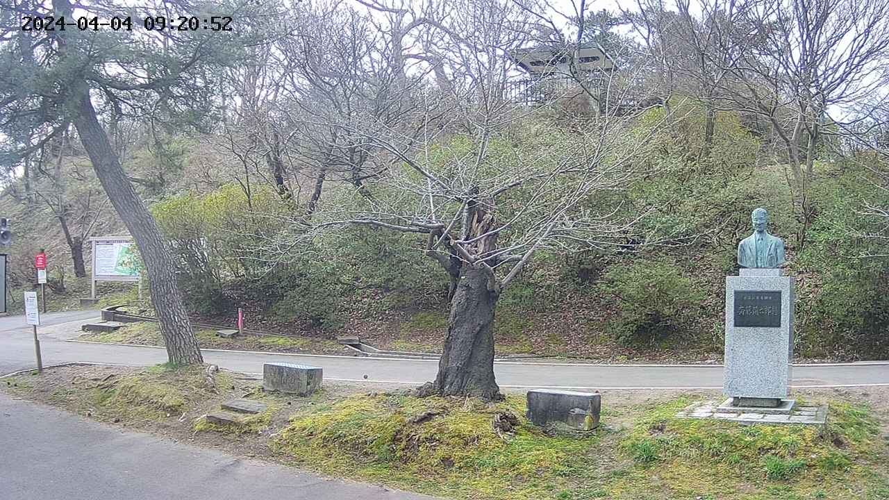 area3-20240404092053.jpg