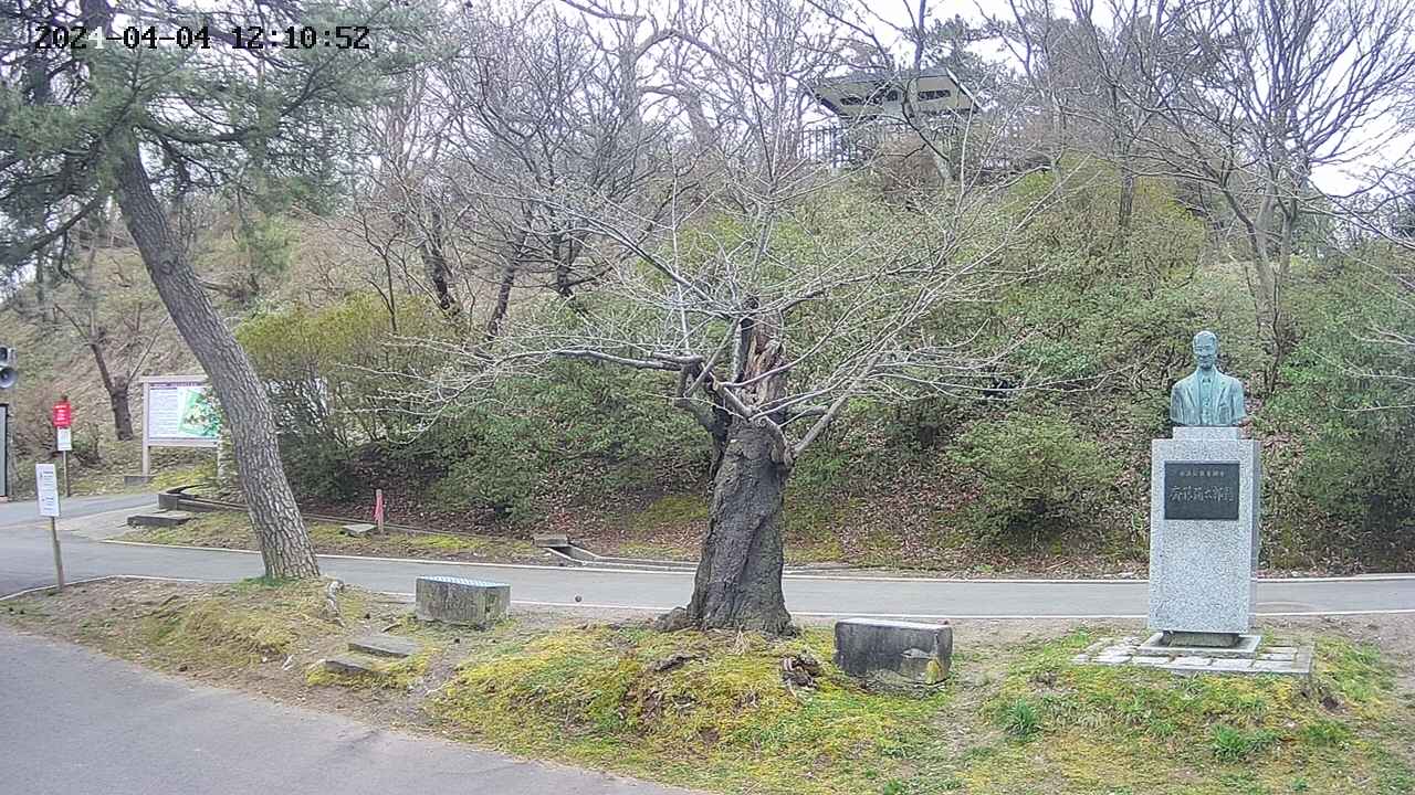 area3-20240404121052.jpg