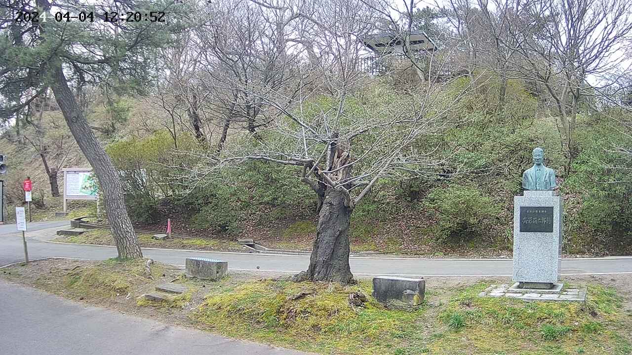 area3-20240404122053.jpg