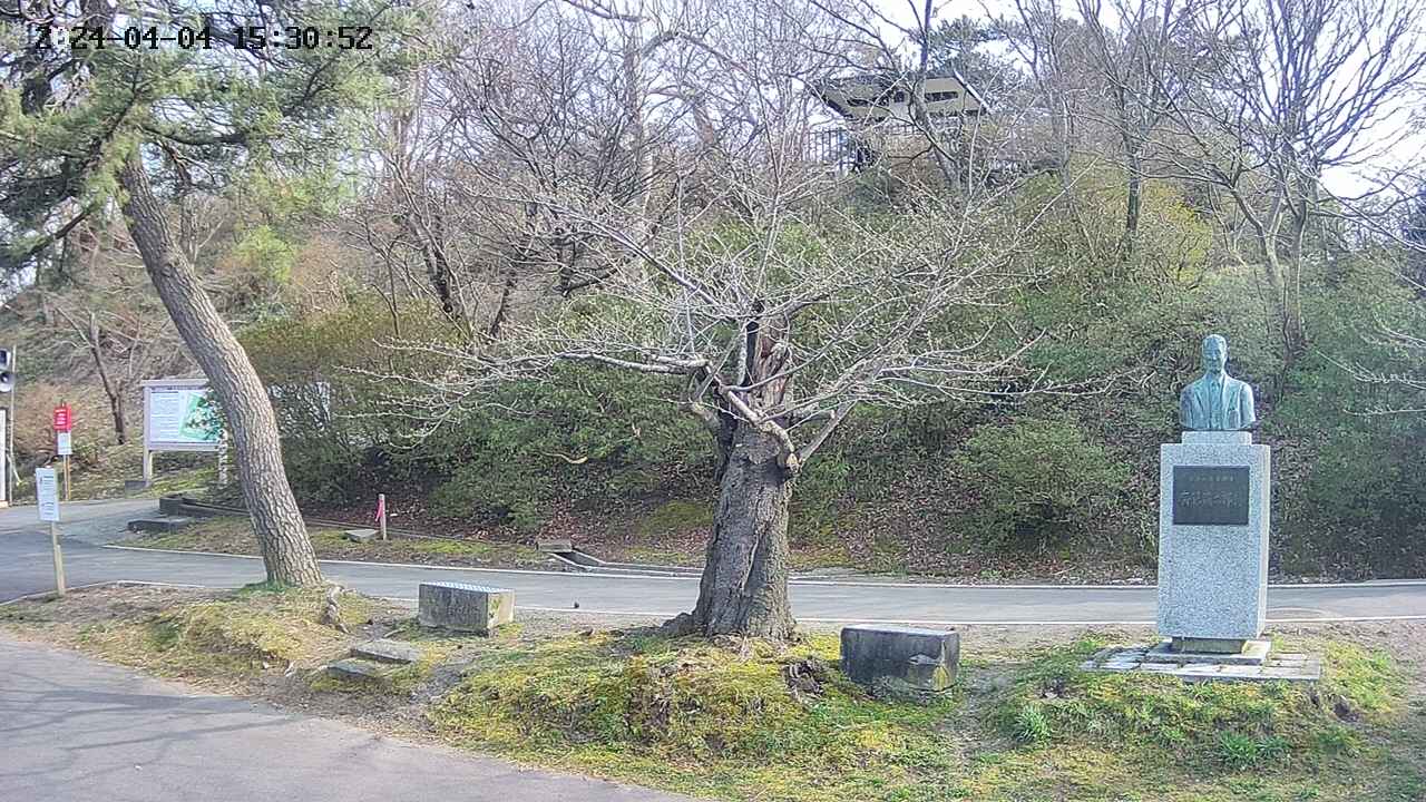 area3-20240404153053.jpg