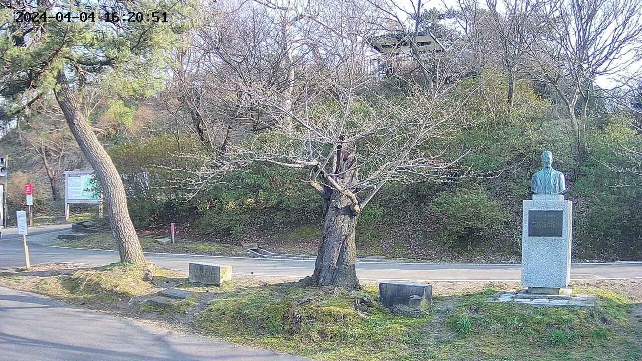 area3-20240404162051.jpg