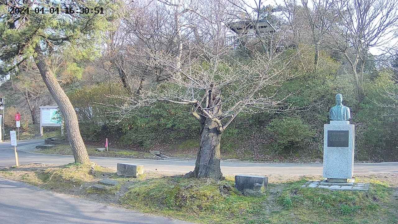 area3-20240404163052.jpg
