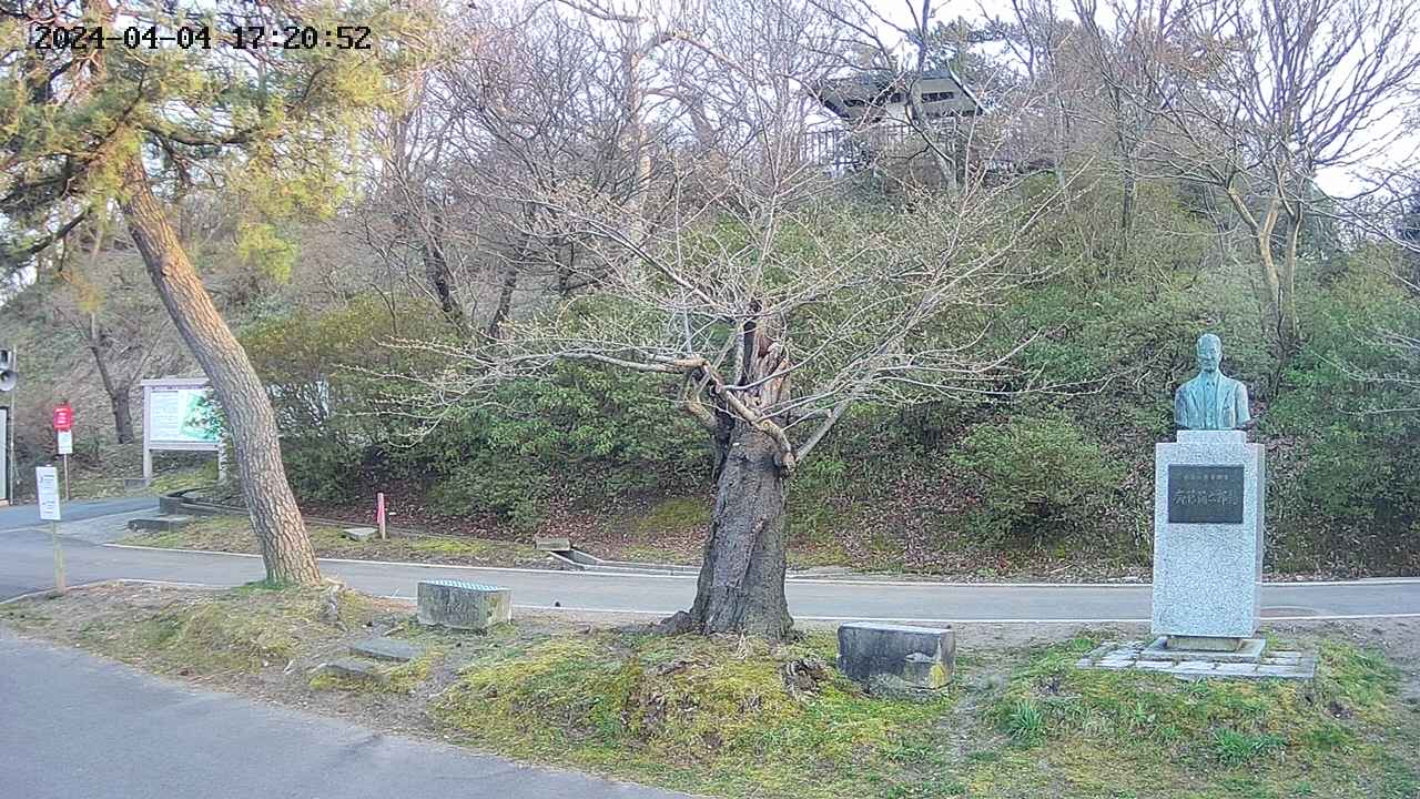 area3-20240404172053.jpg