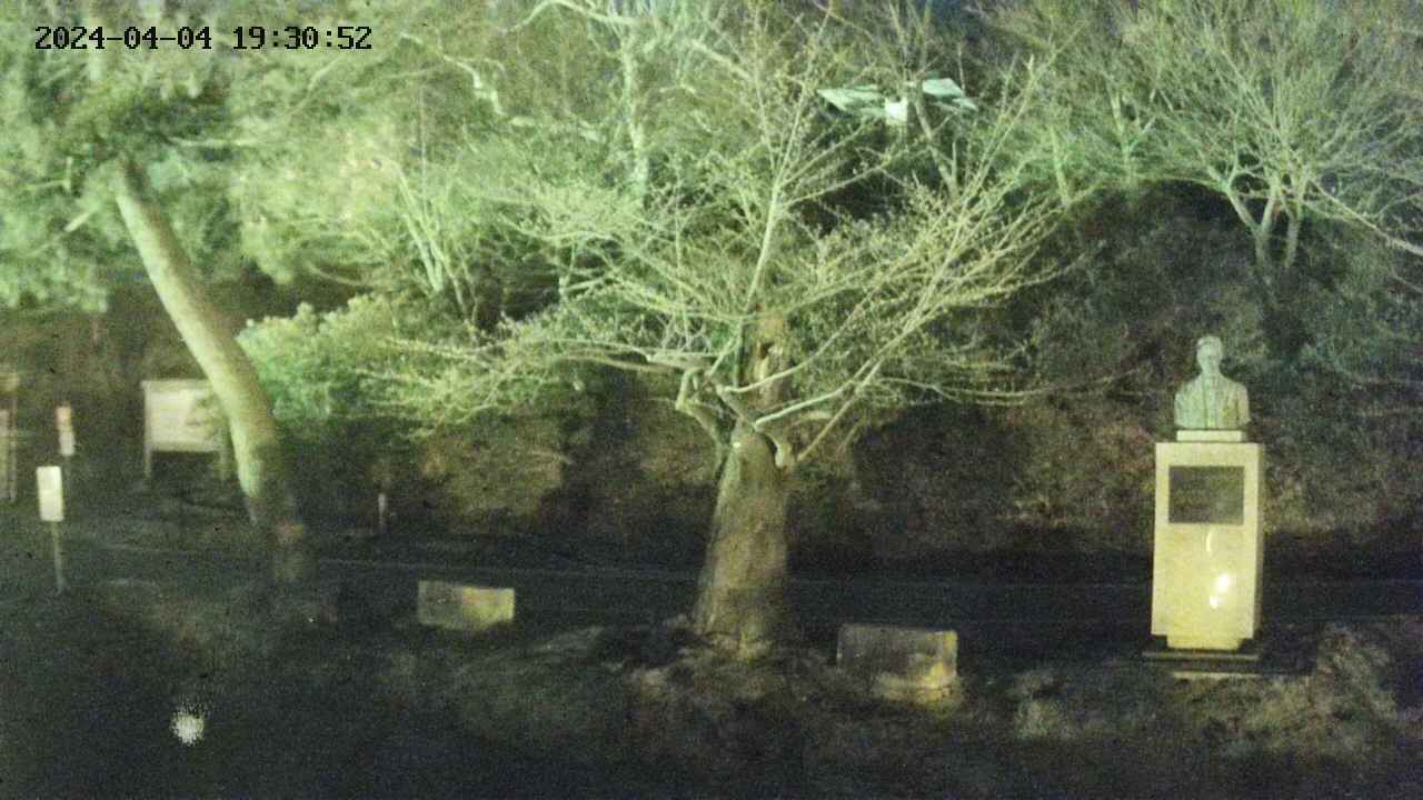 area3-20240404193053.jpg