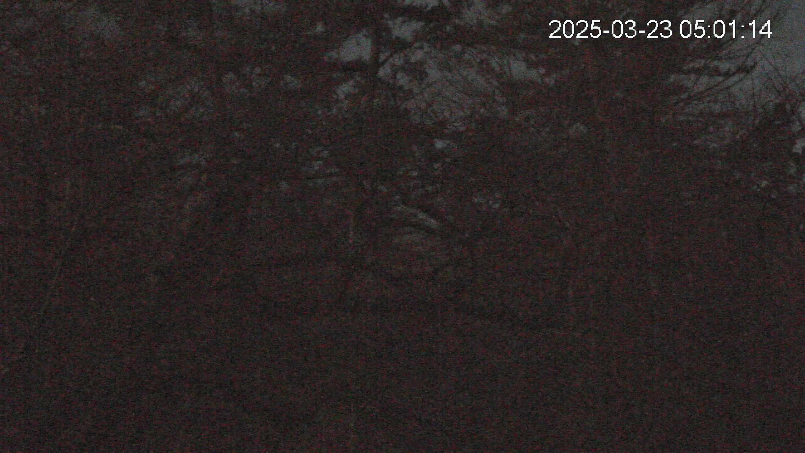 area3-20250323050115.jpg