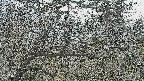 area3-20250324163123.jpg