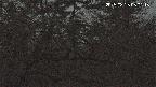 area3-20250325050118.jpg