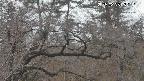 area3-20250325052121.jpg