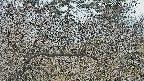 area3-20250325101120.jpg