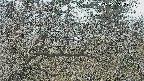 area3-20250325120119.jpg