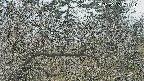area3-20250325131120.jpg