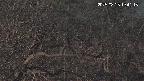 area3-20250325194118.jpg