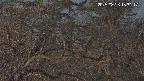 area3-20250326183118.jpg