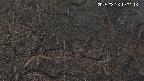 area3-20250326190117.jpg