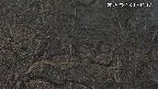 area3-20250326191118.jpg