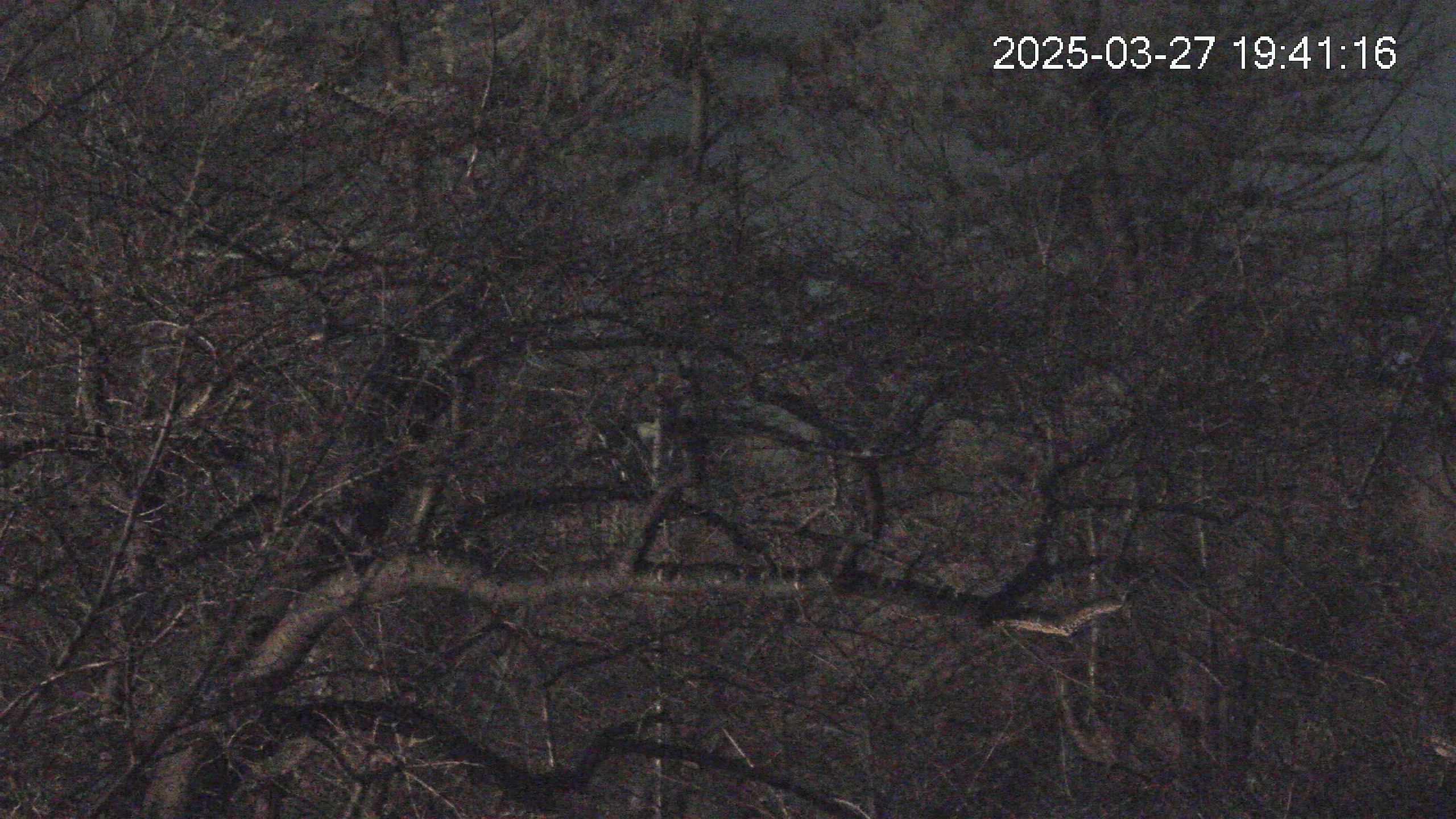 area3-20250327194117.jpg
