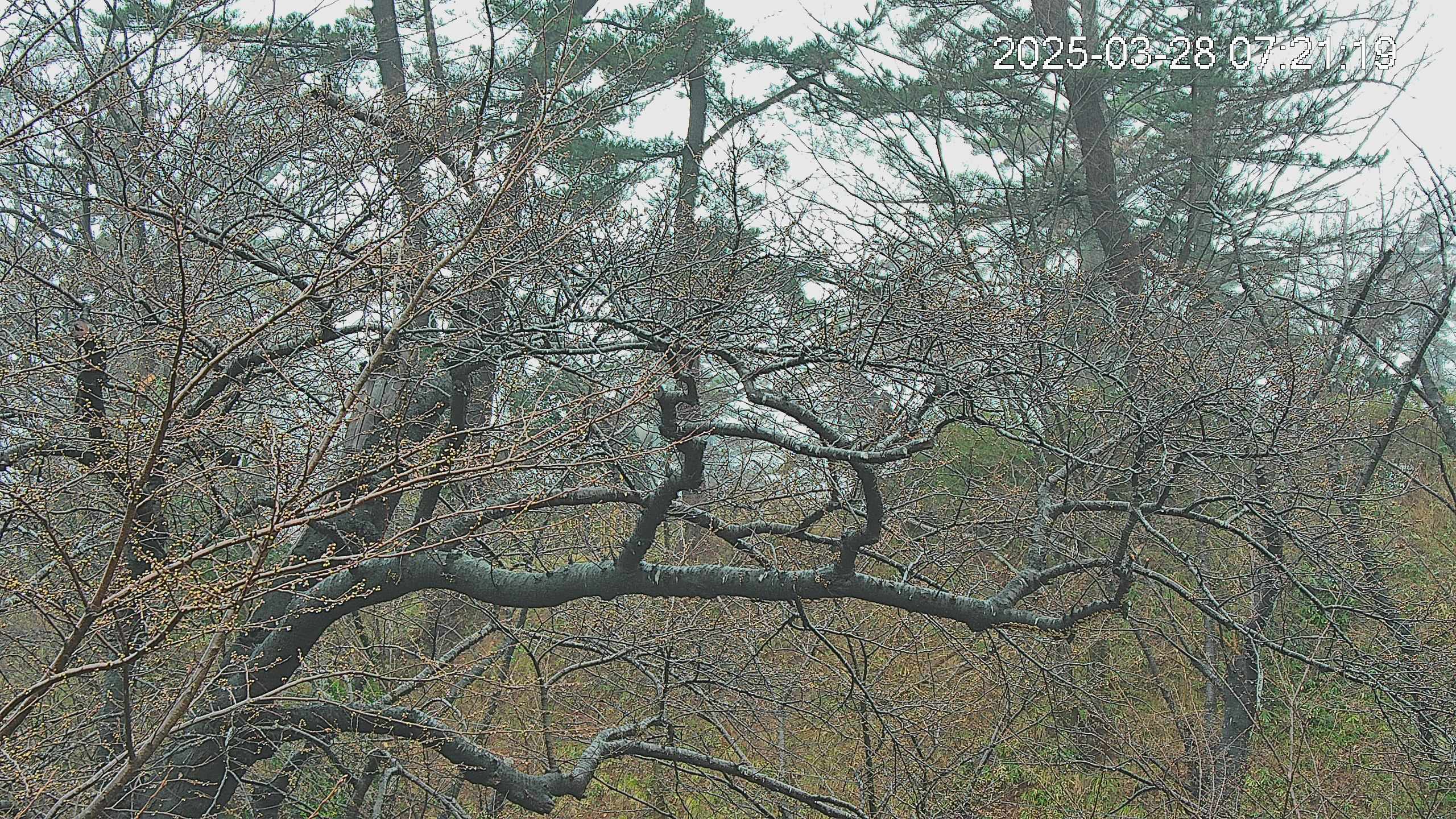 area3-20250328072120.jpg