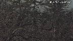 area3-20250328191117.jpg