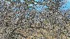 area3-20250329100117.jpg