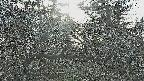area3-20250329163120.jpg