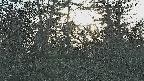 area3-20250329170121.jpg
