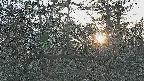 area3-20250329171119.jpg