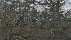 area3-20250329183323.jpg