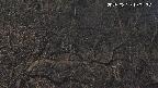 area3-20250329190320.jpg