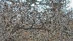area3-20250330052439.jpg