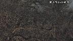 area3-20250330194312.jpg