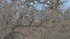 area3-20250401050122.jpg