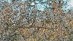 area3-20250401054122.jpg