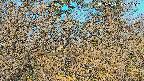 area3-20250401062121.jpg