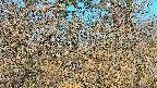 area3-20250401063117.jpg