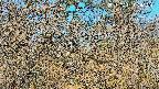area3-20250401064121.jpg