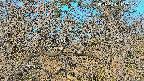 area3-20250401070122.jpg