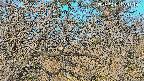 area3-20250401071119.jpg