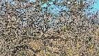 area3-20250401073120.jpg