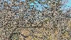 area3-20250401074119.jpg