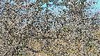 area3-20250401075121.jpg