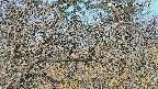 area3-20250401080117.jpg