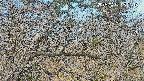 area3-20250401082119.jpg