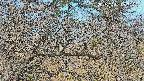area3-20250401083122.jpg