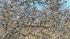 area3-20250401084121.jpg