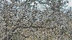 area3-20250401105121.jpg
