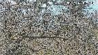 area3-20250401120120.jpg
