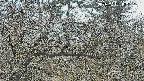 area3-20250401122122.jpg
