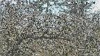 area3-20250401123121.jpg