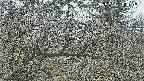 area3-20250401124118.jpg