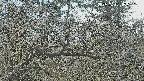 area3-20250401135122.jpg